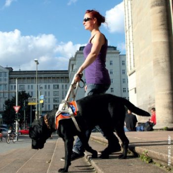 Blindenführhund Labrador führt seinen Menschen eine Treppe hinunter