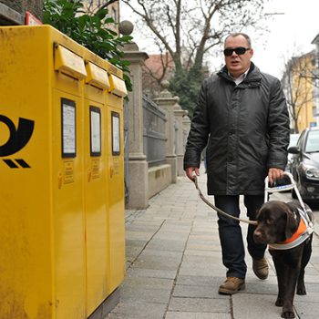 Blindenführhund Labrador führt seinen Menschen zum Briefkasten